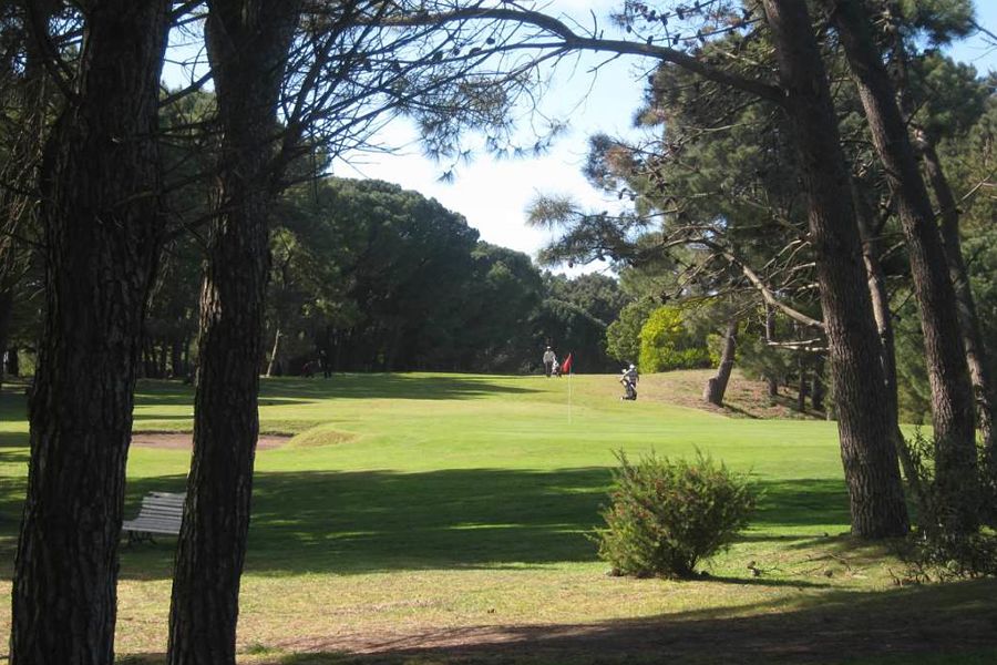 golf 20-21_opt